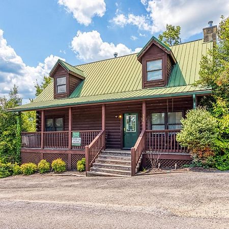 Vila Papaw'S Bear Den Pigeon Forge Exteriér fotografie
