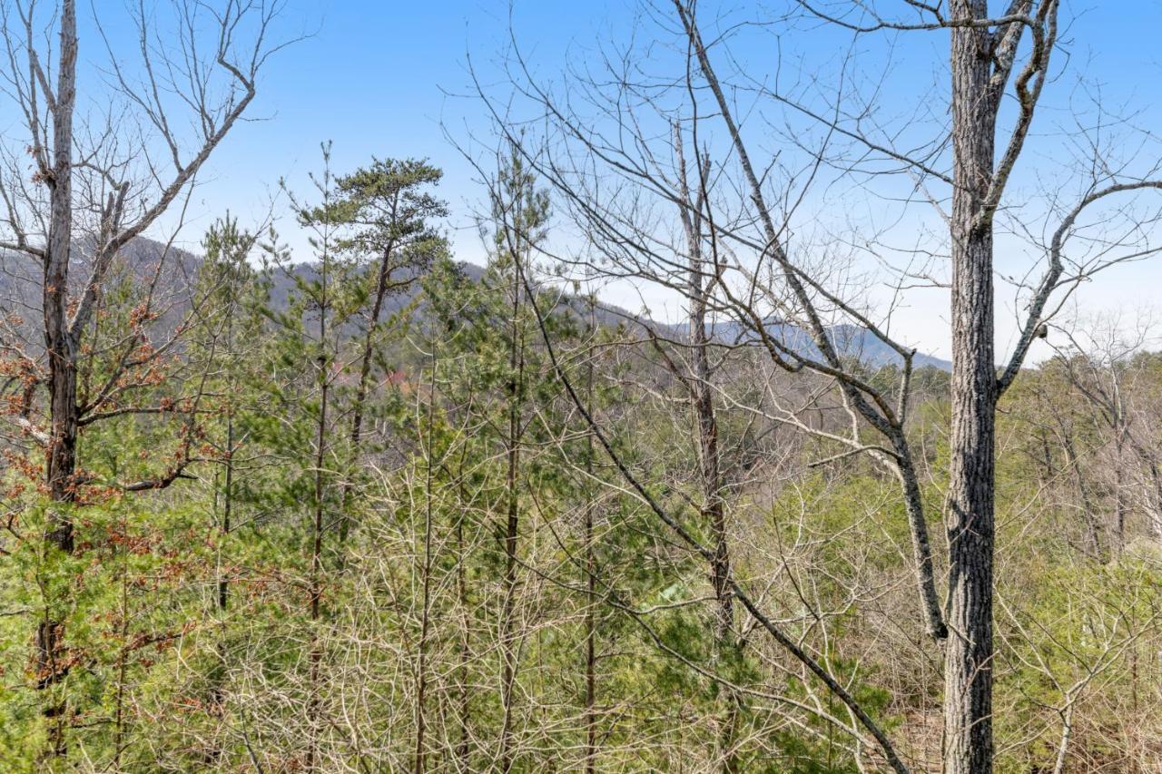 Vila Papaw'S Bear Den Pigeon Forge Exteriér fotografie