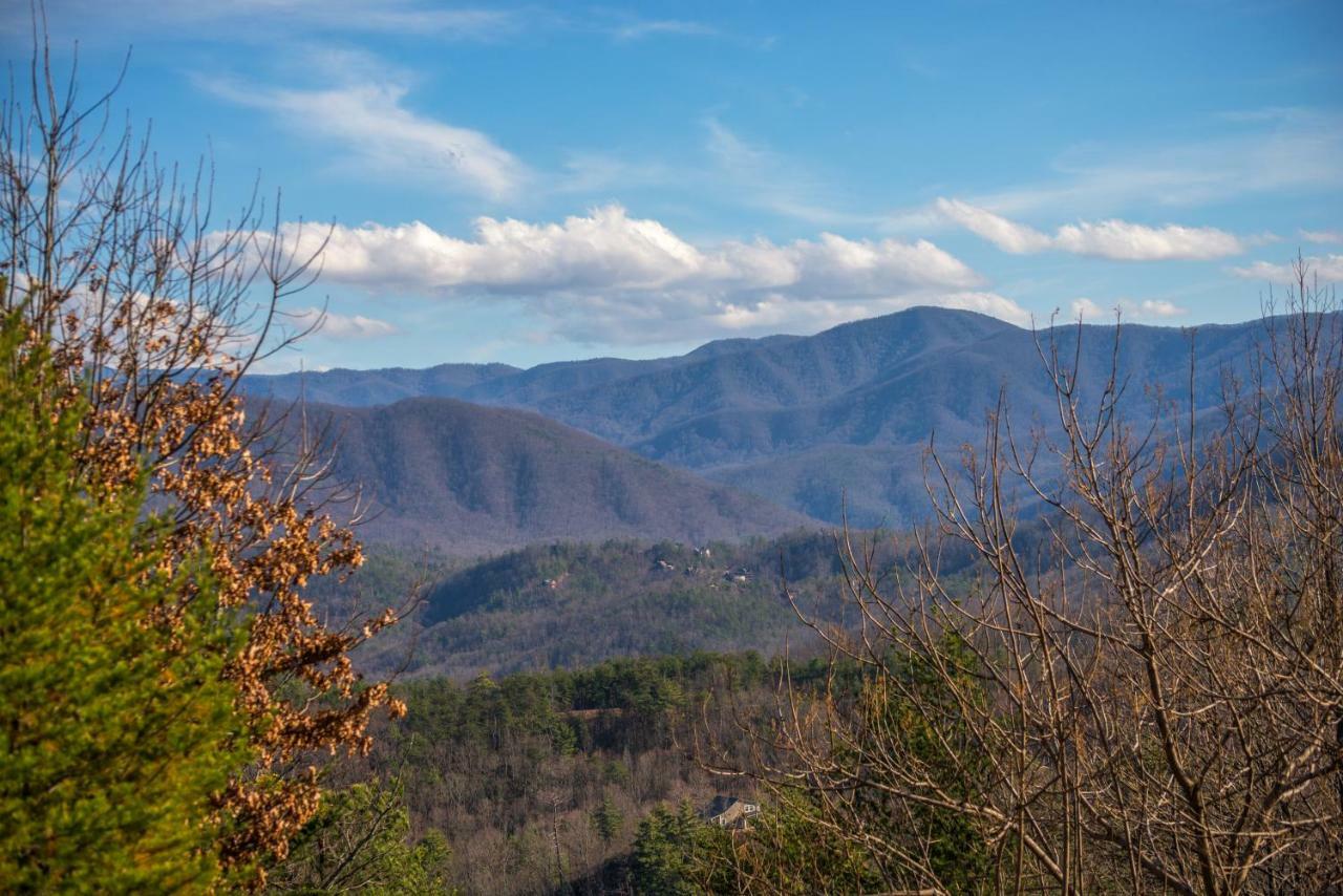 Vila Papaw'S Bear Den Pigeon Forge Exteriér fotografie