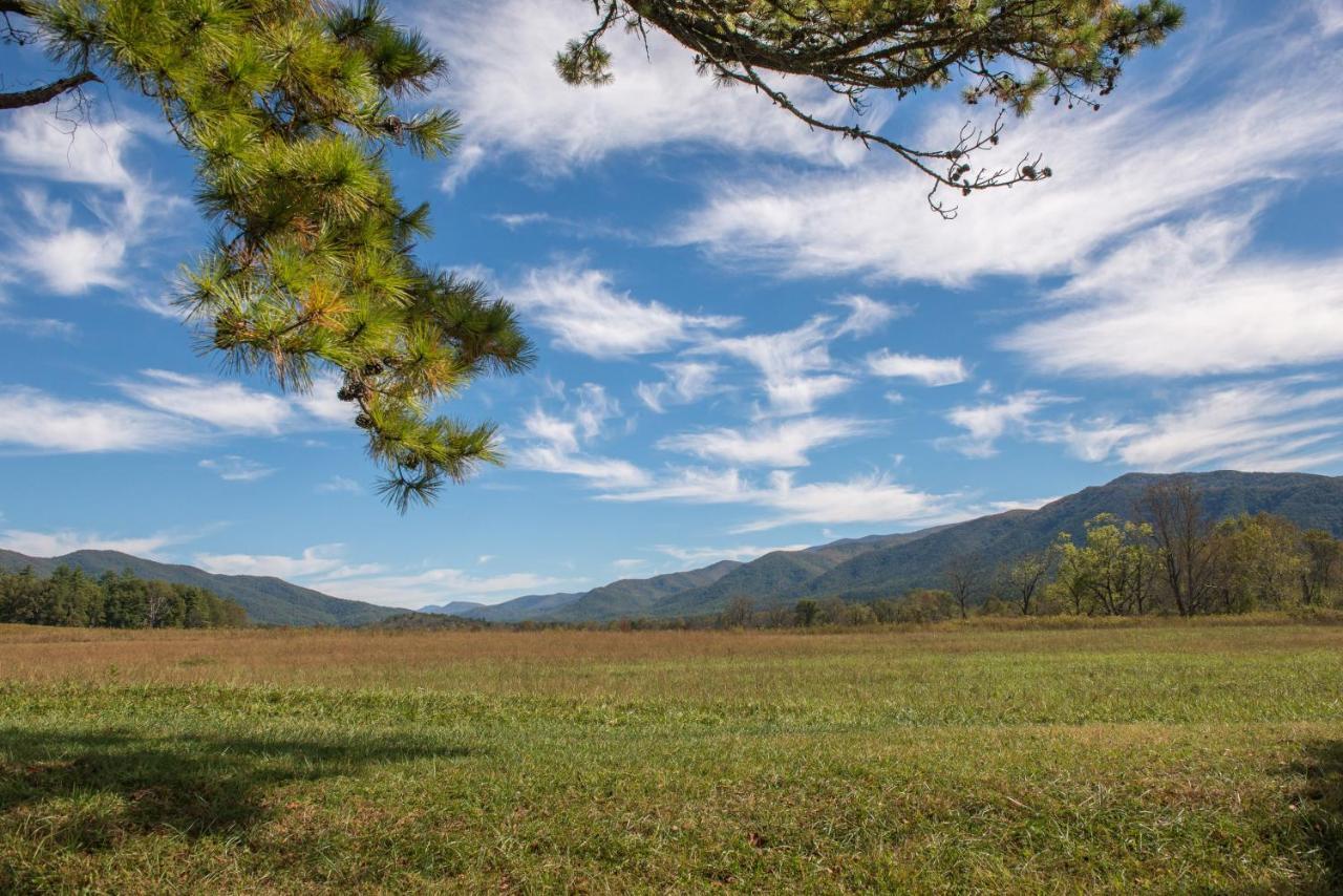 Vila Papaw'S Bear Den Pigeon Forge Exteriér fotografie